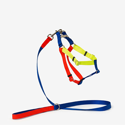 Шлейка для собак Nylon Blue L