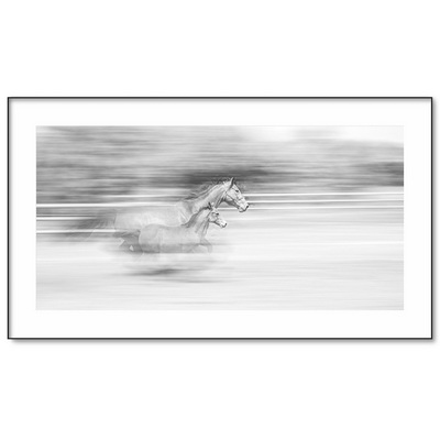 Mare Foal Race Картина 230 х 130 см