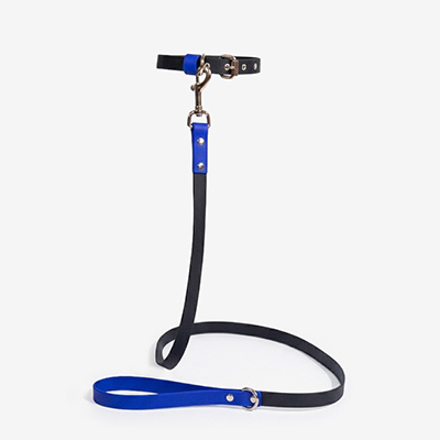Поводок для собак Waterproof Black/Royal L
