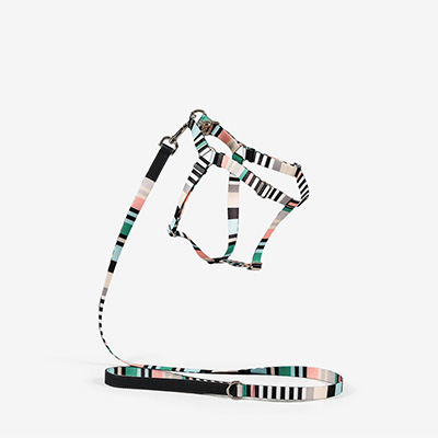 Шлейка для собак Striped Green S