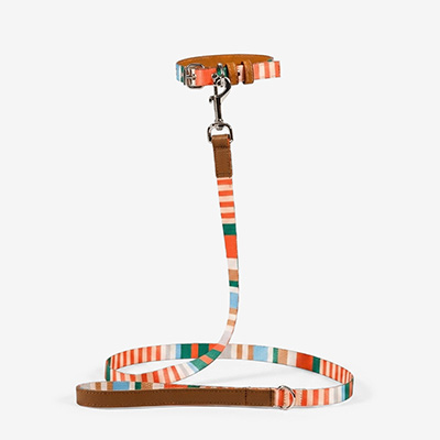 Поводок для собак Striped Orange L