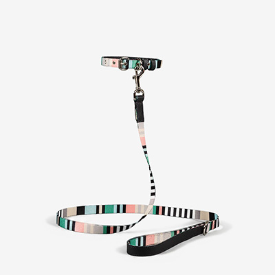Поводок для собак Striped Green/Charcoal S
