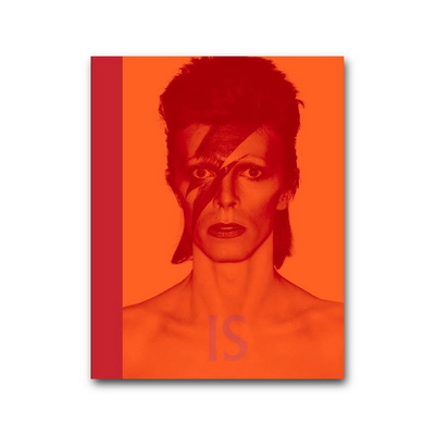 David Bowie Is Книга