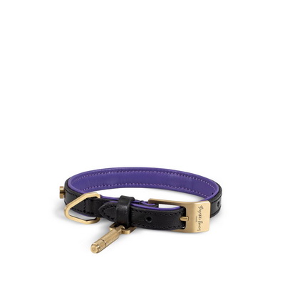 Black Purple Brass Ошейник для собак S