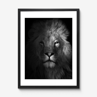 Lion Studio Постер