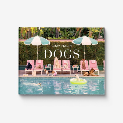 Gray Malin: Dogs Книга