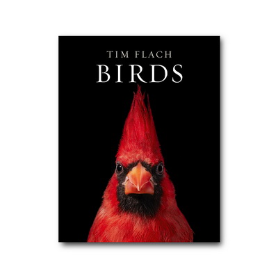 Birds Книга