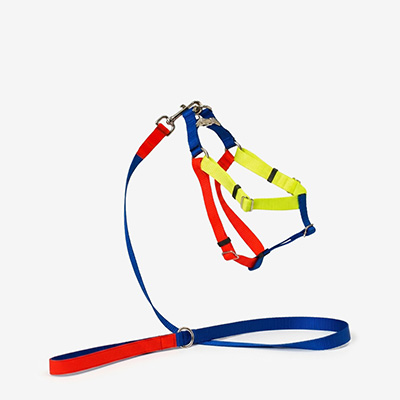 Шлейка для собак Nylon Blue M
