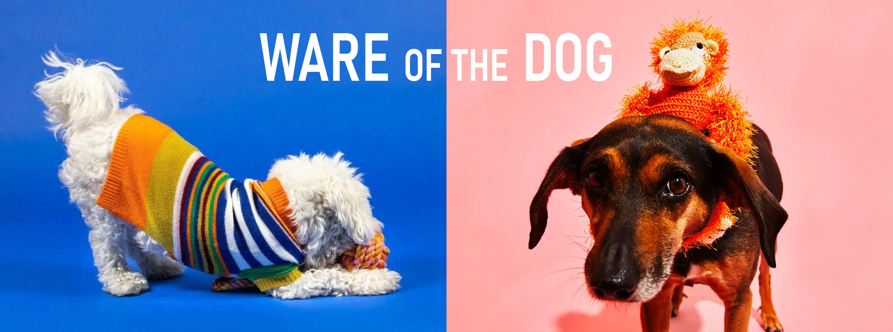 Ware of the Dog
