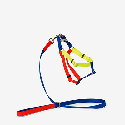 Шлейка для собак Nylon Blue S