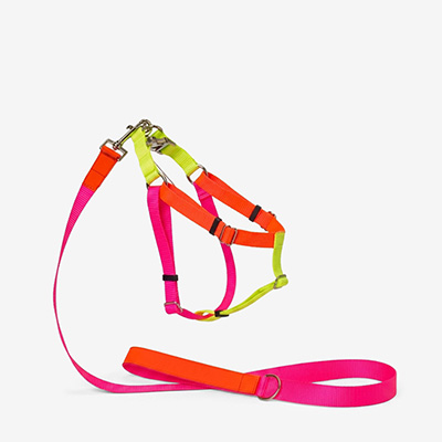 Шлейка для собак Nylon Pink L