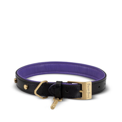 Black Purple Brass Ошейник для собак L