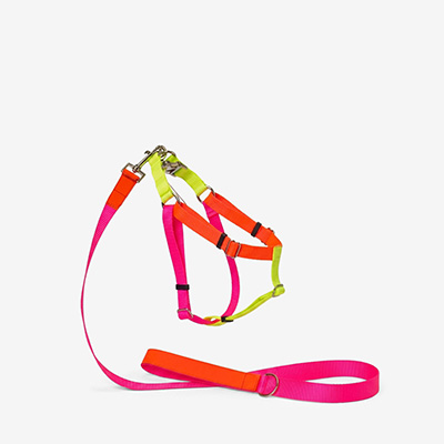 Шлейка для собак Nylon Pink S