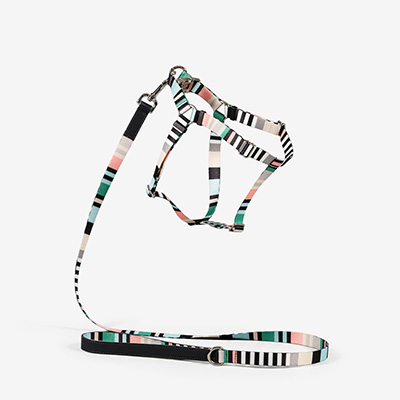 Шлейка для собак Striped Green L