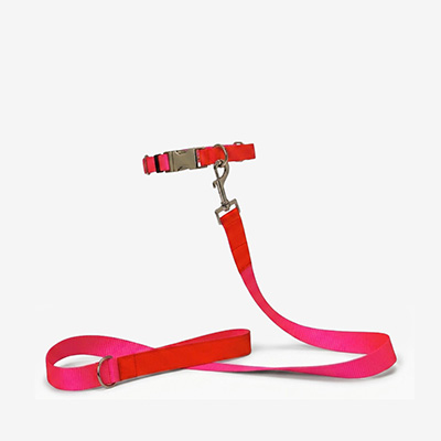 Поводок для собак Nylon Pink S