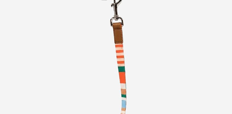Поводок для собак Striped Orange S