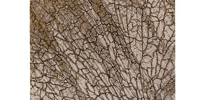 Eclipse Axis Ковер