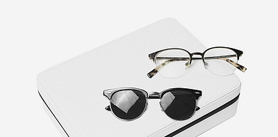 Island White Дорожный органайзер для очков