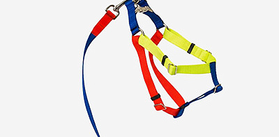 Шлейка для собак Nylon Blue L