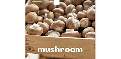 Журнал MUSHROOM