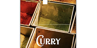 Журнал CURRY