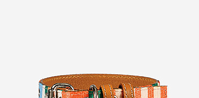 Ошейник для собак Striped Orange/Tan S