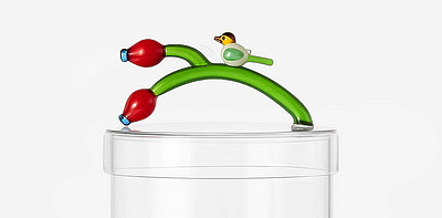 Rosehip Berry & Bird Конфетница