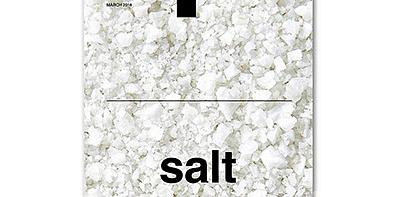 Журнал SALT