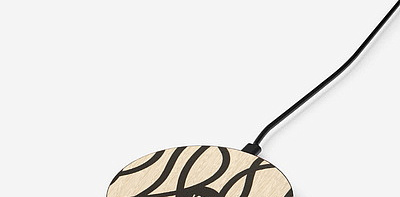 W Black Hills Зарядное устройство