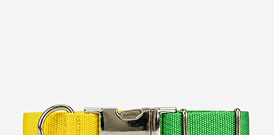 Ошейник для собак Nylon Green/Yellow L