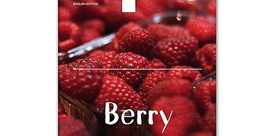 Журнал BERRY