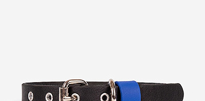 Ошейник для собак Waterproof Black/Royal L