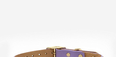 Smooth Spike Lime Drops Ошейник для собак L