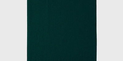 Nino d'Ape Opal Green Плед