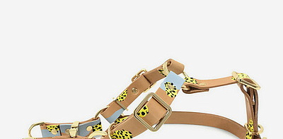 Tumble Weed Шлейка для собак L