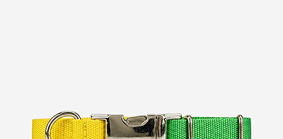 Ошейник для собак Nylon Green/Yellow M