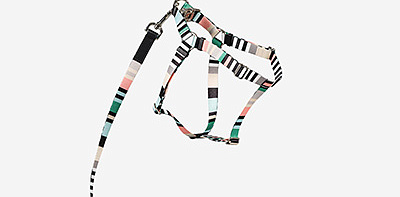 Шлейка для собак Striped Green S