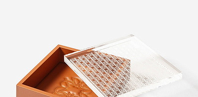 Elie Saab Monogram Square Passito Шкатулка