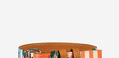 Ошейник для собак Striped Orange/Tan M
