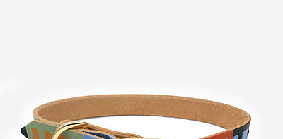 Level Up Ошейник для собак L