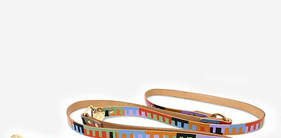 Level Up Поводок для собак