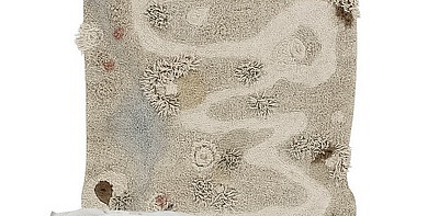 Path of Nature Ковёр 120 x 160 см