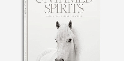 Книга Untamed Spirits