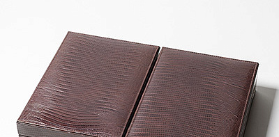 Lizard Brown Набор для рабочего стола 