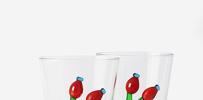 Rosehip Berry Стаканы 2 шт.