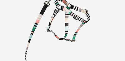 Шлейка для собак Striped Green M