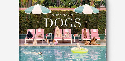 Gray Malin: Dogs Книга