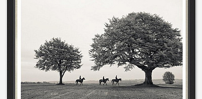 Horses Under Trees Постер