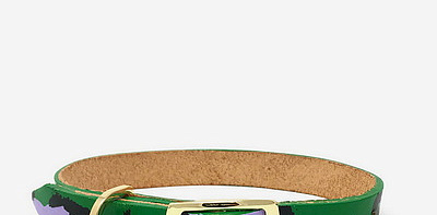 Green Ошейник для собак L