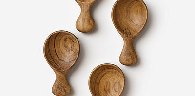Teak Ложечки для специй 4 шт.